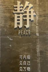 -Tao瑜伽