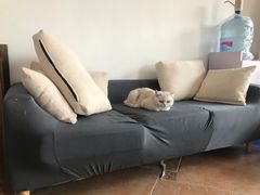 -青春加萌照相馆