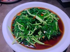 -新白鹿餐厅(嘉兴八佰伴华府店)