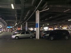 -南京奥林匹克体育中心-体育馆