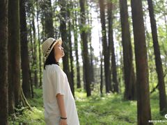 -武陵山森林公园