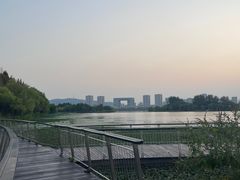 -渤公岛生态公园