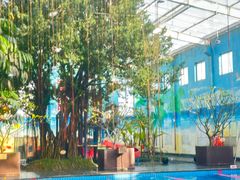 -观唐（国际）度假村温泉