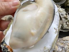 -蚝哥花姐湛江烤生蚝(美丽湾市场店)