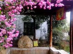 -观唐（国际）度假村温泉