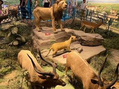 -陕西自然博物馆