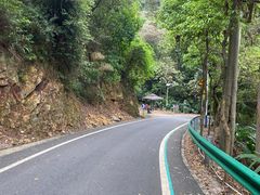 -佛山市三水区大南山森林公园