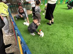-广东花都香草世界旅游度假区