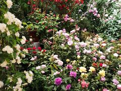 -双季花艺园艺市场(浦东店)