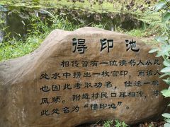 -东山香樟园