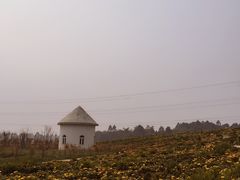 -紫颐香薰山谷景区