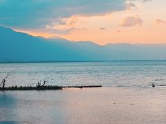 -洱海月湿地公园