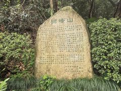 -十八棵（老龙井）御茶园(老龙井店)