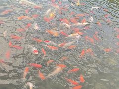 -河北省园博园