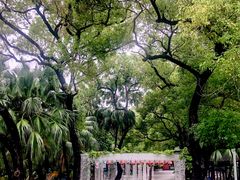 -西关竹园(荔枝湾店)