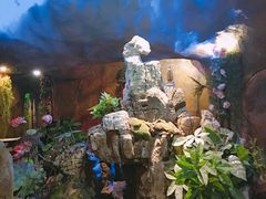 -醉小酒馆·川菜·江湖菜·重庆菜(观音桥旗舰店)