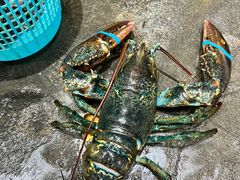 -喜相逢海鲜美食城(五邑平价农副产品批发市场店)