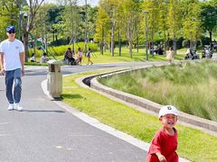 -王借岗森林公园