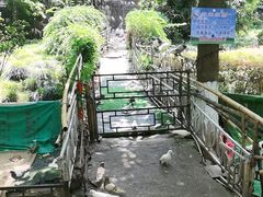 -吴山景区