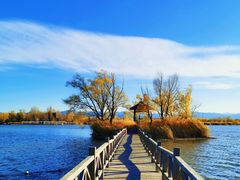 -野鸭湖国家湿地公园