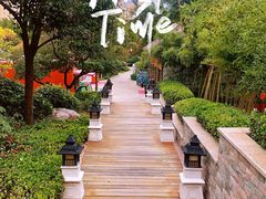 -郑州银基黄帝宫御温泉