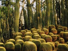 -南山植物园