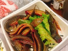 -蜀九香火锅(九眼桥店)