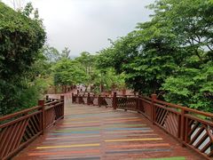 -泉州海丝野生动物世界