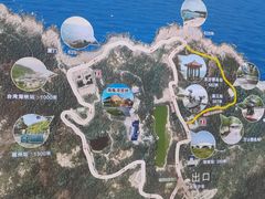 -广东惠东海龟国家级自然保护区