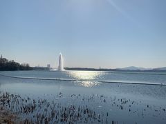 -渤公岛生态公园