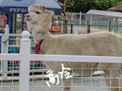 -国色天乡三期陆地乐园