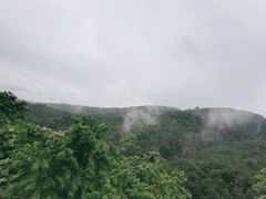 -铁山坪森林公园