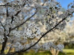 -昆山城市生态森林公园