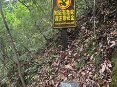 -神农架香溪源景区
