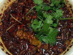尘香-尘香•传统川菜(创汇首座店)