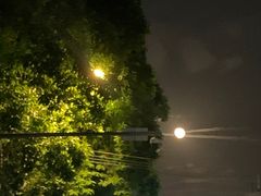 -长洲岛