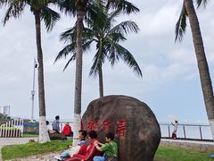 -万绿园