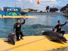 -秦皇岛乐岛海洋王国