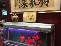 -颜家菜·鲁菜世家(大明湖店)