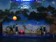 -石家庄极地海洋世界