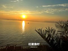 -红星渔村(将军石店)