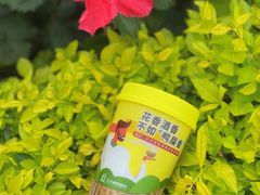 -丘大叔柠檬茶(乐峰广场分店)