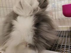 -平行世界·猫咖(首经贸店)