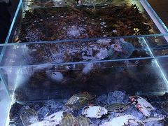 -聚盛源蒸汽海鲜火锅烤肉自助(巨川金海岸购物广场店)