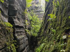 -梭布垭石林景区