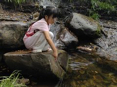 -素山寺森林公园