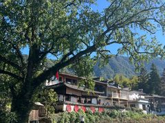 -塔川景区