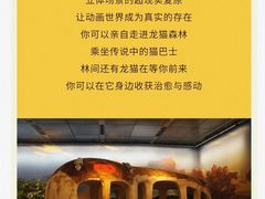 -今日美术馆