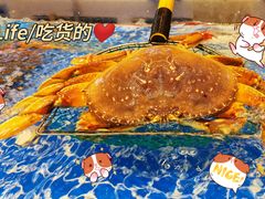 -新何记(青年东路店)