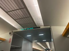 -龙阳路磁悬浮列车总站-停车场